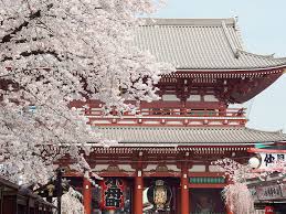 Hd Wallpaper Japan TaitÅ Ku SensÅ Ji Blossoms Flowers Pink Cherry Blossoms Wallpaper Flare We have 69+ amazing background pictures carefully picked by our community. hd wallpaper japan taitÅ ku sensÅ ji
