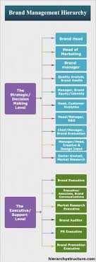 Brand Management Hierarchy Brand Management Infographic Marketing Business Management Degree