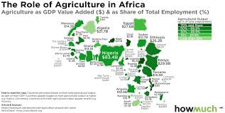 The Role Of Agriculture In Africa In 2020 Infographic Economy Countries In Central America