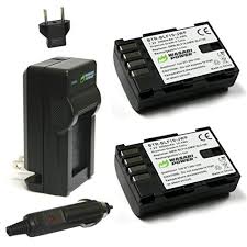 wasabi power battery 2 pack and charger for panasonic dmw