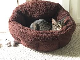 What kind of vet is all for pets? This Pet Bed Is Super Comfy And Machine Washable So You And Your Pet Will Love It