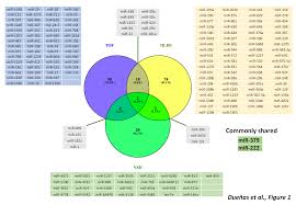 Basic anatomy and pathophysiologyplease visit: Jcdd Free Full Text The Role Of Non Coding Rna In Congenital Heart Diseases Html