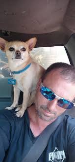 Las Vegas Raiders fan feedback needed