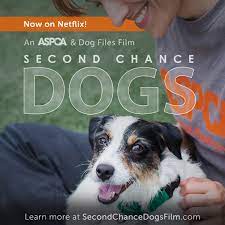 Maybe you would like to learn more about one of these? Aspca Documentary Second Chance Dogs Now Available On Netflix Aspca