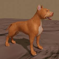 Pitbull 3d Model In 2020 Pitbulls Low Poly Models 3d Model
