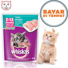 Makanan kucing persia murah ini memiliki banyak varian rasa dan kamu bebas memberikan yang mana sesuai dengan selera kucingmu. Jual Makanan Kucing Persia Terbaru Lazada Co Id