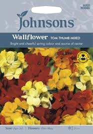 Maybe you would like to learn more about one of these? Johnsons 25667 Flower Seeds Wallflower Tom Thumb Mixed Buy Online In Burkina Faso At Burkinafaso Desertcart Com Productid 208390131