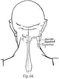 See more ideas about art, painting, drawings. 004 Table Of Contents Proportions Of The Child Figure Action By Means Of Single Lines Age And Action In The Single Line Figure The Solid Form The Solid Form Side And Back Action In The Solid Figure The