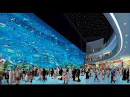 Located on the ground level of the dubai mall, the aquarium houses a visitors can see many different varieties of fish, amphibians, reptiles and even birds. Dubai Aquarium Underwater Zoo Dubai Mall Youtube