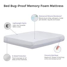 Protect A Bed Bed Bug Proof 10 Inch Memory Foam Mattress Reviews Goodbed Com