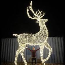 Browse our online store today! Lighted Christmas Led Reindeer Outdoor Decoration Visual Merchandising And Store Design