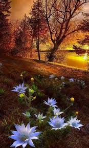 La Hora De La Misericordia Ora Por Que Sea Disuelto El Pecado Del Orgullo En El Mundo Entero Ora Por Beautiful Landscapes Nature Photography Nature Pictures