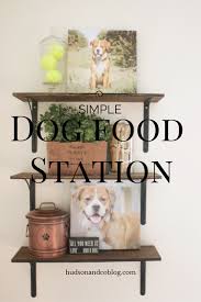 Does My Dog Need Canine Cataract Surgery What You Need To Know Food Animals Pet Food Area Pets