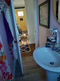 'andrew!' 'no more money from us. How Can I Hide This Toilet Hometalk