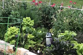 Read the article to know the different types of gardens that are suitable for your home for an how to make the garden more beautiful: Start Your Own Garden At Home Austin Parks Foundation
