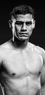 Fulton vs Roman Fight Stats