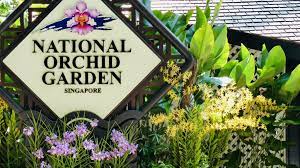 les jardins de singapour une strategie vegetale les jardins suspendus des garcons