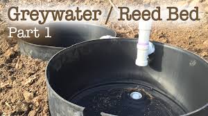 Unfortunately, this water almost always goes straight down the drain. Greywater Reed Bed Filtration System Part 1 Our Grey Water All Water Accept The Kitchen And T Grey Water System Grey Water System Diy Grey Water Recycling