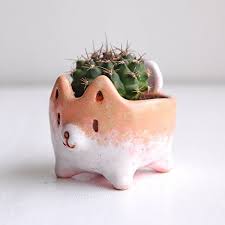 As you wish pottery (version 1.59.195.474) is available for download from our website. Akita Succulent Pot Ceramic Pot For Succulents And Cactus Pottery Pot Little Pot For Cactus 40x60mm Ceramic Succulent Pots Ceramic Succulent Planter Pottery Pot