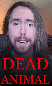 DEAD ANIMAL falls through popular streamer Asmongold's ceiling…