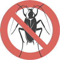 Maybe you would like to learn more about one of these? Professional Pest Control Services In Austin Tx 78752