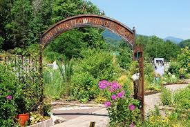 Images captured earlier this summer at the lake lure flowering bridge. Escape The Daily Grind In Scenic Lake Lure