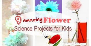 Young learners will work on number recognition, counting, and writing with these flower math activities for preschoolers. 16 Flower Math Activities For Preschool And Kindergarten Kids