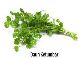 Learning common idioms and expressions will make you sound more like a native speaker. Cyberjaya Info On Twitter Daun Sup Daun Ketumbar Daun Parsley