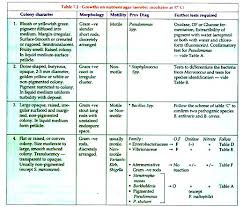 Identification Of Bacterial Growth 3 Mediums