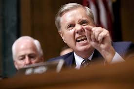 'party has gone bats**t crazy': Traitorous Lindsey Graham Has Shamed South Carolina Once Again