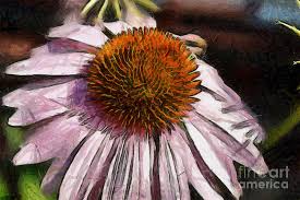 Can be used as wall art, as a gift, housewarming, decoration, etc. Flowers Drawn With Color Pencils Drawing By Antuan Graftio