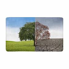 The executive producers are kirkman, david alpert, scott gimple, angela kang, greg nicotero, joe incaprera, denise. Yusdecor Tree Of Life Half Alive And Half Dead Tree Doormat Rug Home Decor Floor Mat Bath Mat 30x18 Inch Walmart Canada