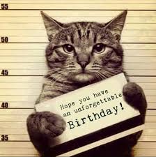 Best 26 Cat Birthday Meme Happy Birthday Cat Cat Birthday Memes Cat Birthday Funny