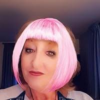 Plum Blossoms in Paris (Jake Helman Files Series) by Sarah Hina