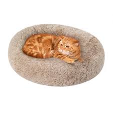 Cats Essential In 2020 Cat Pet Supplies Cat Bed Cat Essentials