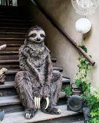 An Incredibly Realistic Three Toed Sloth Costume Sloths Costume Animal Costumes Realistic Costumes