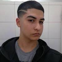 PDF) Estrategias de mitigación del ataque del gorgojo descortezador de Pino  en Honduras Periodo 2014