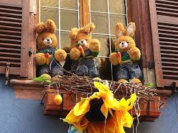 Cactus houseplants elicit many feelings from fear to fascination. Teddy Bear Toy Ribeauville Easter France Wood Furniture Alsace Piqsels