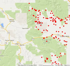 Image result for Disa cryptantha