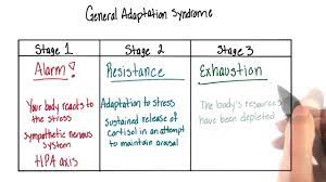 General Adaptation Syndrome Intro To Psychology Youtube