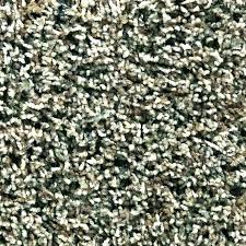 Lowes Stainmaster Carpet Deal Mgdigital Co