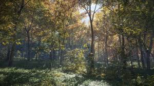 Image result for the hunter call of the wild