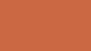 cb6843 hex color - Terracotta - Orange - Warm color