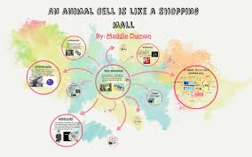 Maybe you would like to learn more about one of these? A Cell Is Like A Shopping Mall By Maddie Dumon