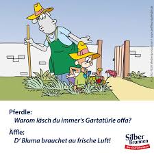 Silberbrunnen Affle Pferdle Downloads Schwabische Spruche Lustige Bilder Mainzelmannchen