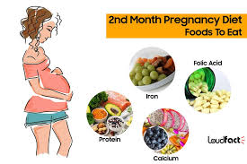 2nd month pregnancy diet which foods to eat avoid