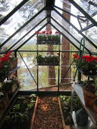 Palram Green 6 Ft X 8 Ft Greenhouse Discontinued 701274 The Home Depot Greenhouse Homestead Gardens Small Greenhouse