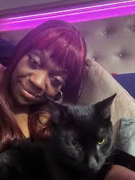 Our babies kissing our cattery cats! Romeo our black solid is great!!!