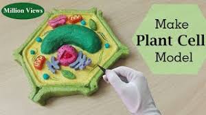 Simple And Easy Way To Make Plant Cell Hexagone Shape Model 3d Styrofoam Carving Youtube