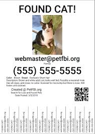 Lost pet poster template missing cat banner design stock. Create A Lost Or Found Pet Flyer Petfbi